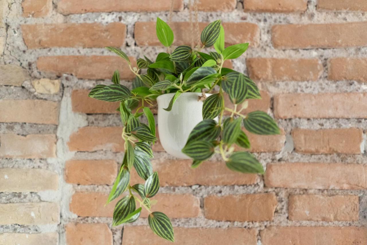 Affittacamere White Ostilia Roma